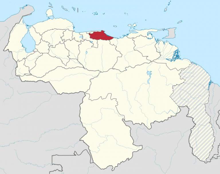 Estado Miranda Los Teques: Ubicación y más