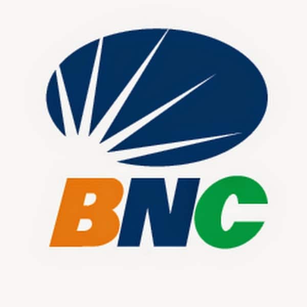 ¿Cómo consultar tu saldo en BNC? y más