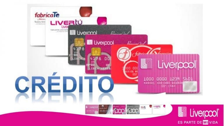 Dónde Estudiar Turismo en México: Universidades, academias, cursos y más